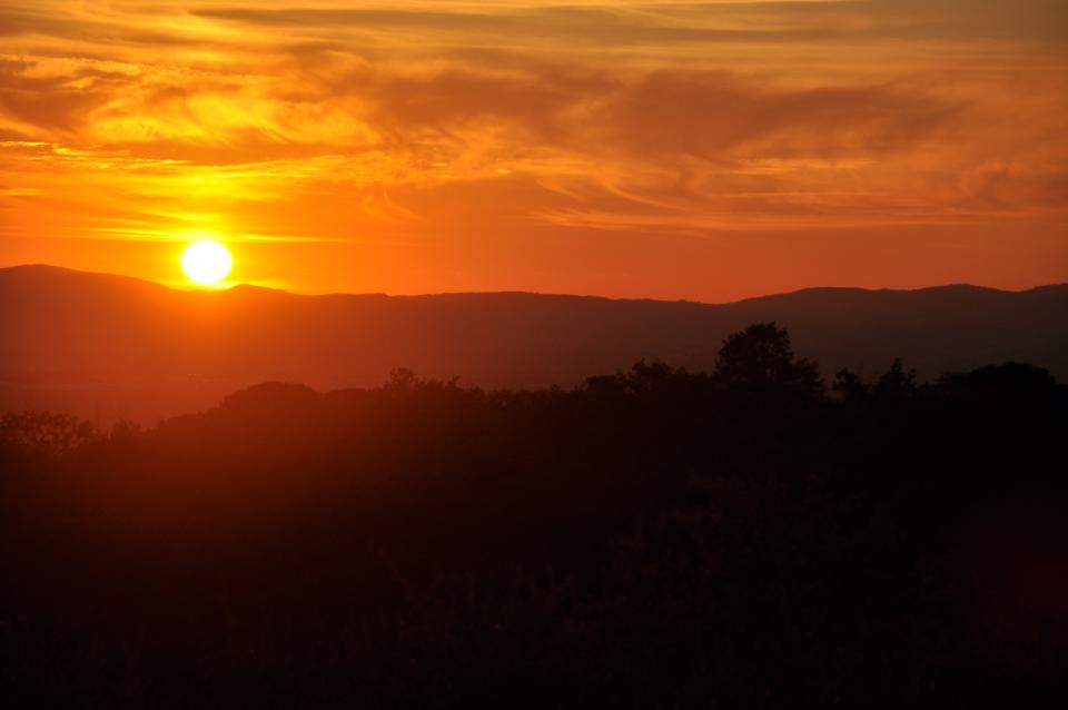 Under the Tuscan Sun | Shutterbug